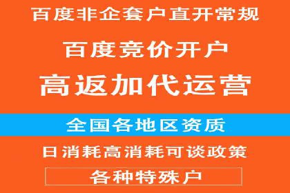 SEM服务案例：打造行业领先品牌